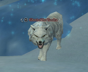 Ghost of the Tundra