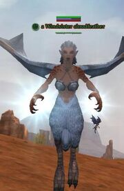 Windsister cloudfeather