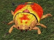 A klicnik scurrier