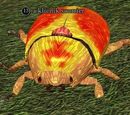 A klicnik scurrier