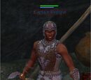 Captain Redspit