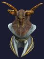 Trophy Gynok Moltors Head (visible).jpg