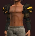 Archon's Faithbringer Plate Pauldrons (Equipped).png