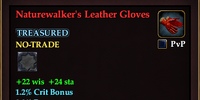 Naturewalker's Leather Gloves