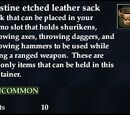 Pristine etched leather sack