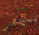 A Broken Toe raider