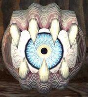 Race evil eye