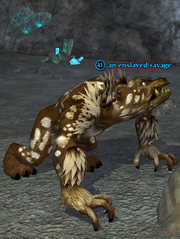 An enslaved savage