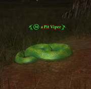 A Pit Viper