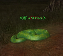 A Pit Viper