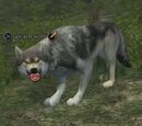An ash wolf