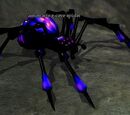 A menacing cave spider