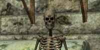 A crumbling tomb guard