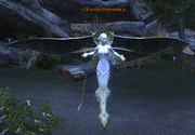A vexed forest watcher