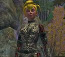 Enlivened Chance (Armor Set)