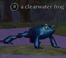 A clearwater frog