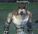 Duskrender