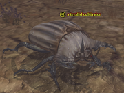 A teralid cultivator