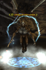 A holgresh vizier acolyte