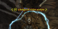 A holgresh vizier acolyte