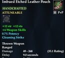 Imbued Etched Leather Pouch