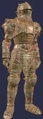 Celestial Watch Ceremonial Officer (Armor Set) (Visible, Male).jpg