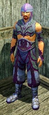 Combatant's Technique (Armor Set) (Visible, Male)