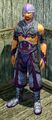 Combatant's Technique (Armor Set) (Visible, Male).jpg