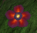 A festive vine flower.png
