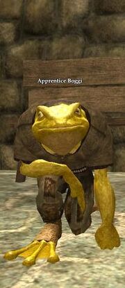 Apprentice Boggi