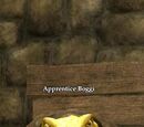 Apprentice Boggi
