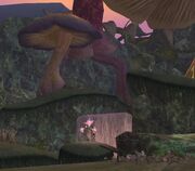 Enchanted Fay Grotto