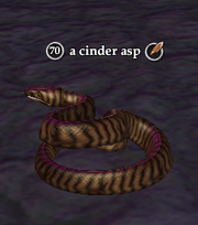 A cinder asp