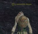A mountain throm