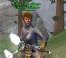 A Rime pillager