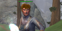 A Rime pillager