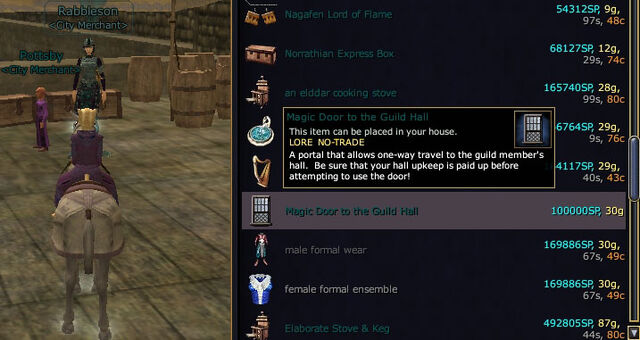 File:Magic door to guild hall.jpg