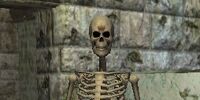 A crumbling tomb sentry
