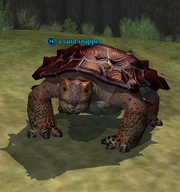 A sand snapper (Enchanted Lands)