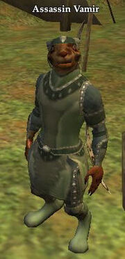 Assassin Vamir