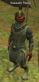 Assassin Vamir.jpg