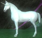 Race unicorn