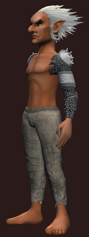 Vagabond's Chain Spaulders of Deftness (Equipped)