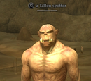 A Tallon spotter