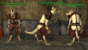Gnoll (Shadowknight) Placed