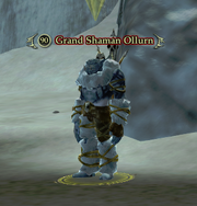 Grand Shaman Ollurn