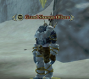 Grand Shaman Ollurn