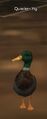 Quacker Yig vis.jpg
