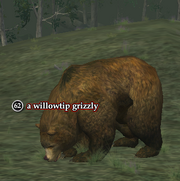 A willowtip grizzly