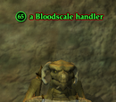 A Bloodscale handler